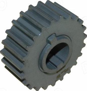 Automega 130104310 - Gear, crankshaft www.avaruosad.ee