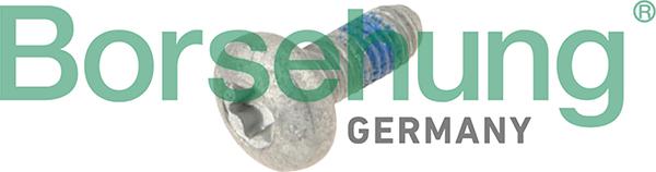 Borsehung B10646 - Фиксирующий болт, газораспределение www.avaruosad.ee
