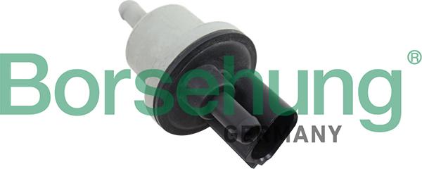 Borsehung B12188 - Valve, activated carbon filter www.avaruosad.ee