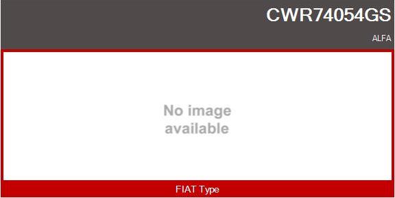 Casco CWR74054GS - Switch, window regulator www.avaruosad.ee