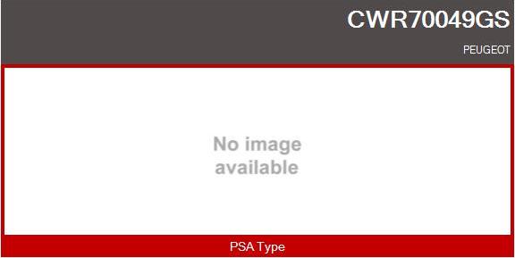 Casco CWR70049GS - Switch, window regulator www.avaruosad.ee