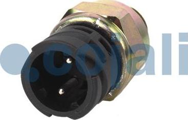 Cojali 2260336 - Switch, differential lock www.avaruosad.ee