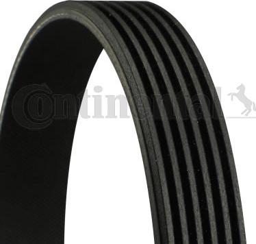 Contitech 6PK1180 - V-Ribbed Belts www.avaruosad.ee