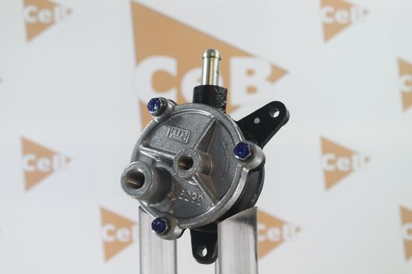 DA SILVA PV4015 - Vacuum Pump, brake system www.avaruosad.ee