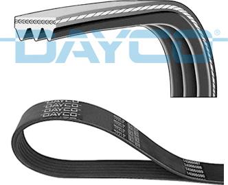 Dayco 3PK576EE - V-Ribbed Belts www.avaruosad.ee