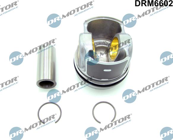 Dr.Motor Automotive DRM6602 - Engine short block, Sub-Assembly www.avaruosad.ee