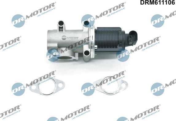 Dr.Motor Automotive DRM611106 - Клапан возврата ОГ www.avaruosad.ee
