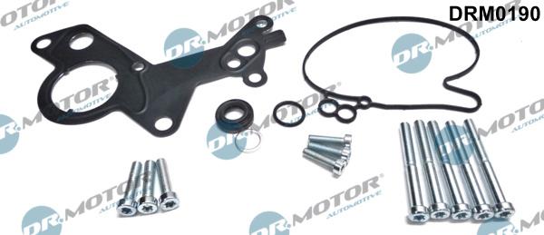Dr.Motor Automotive DRM0190 - Repair Kit, vacuum pump (brake system) www.avaruosad.ee