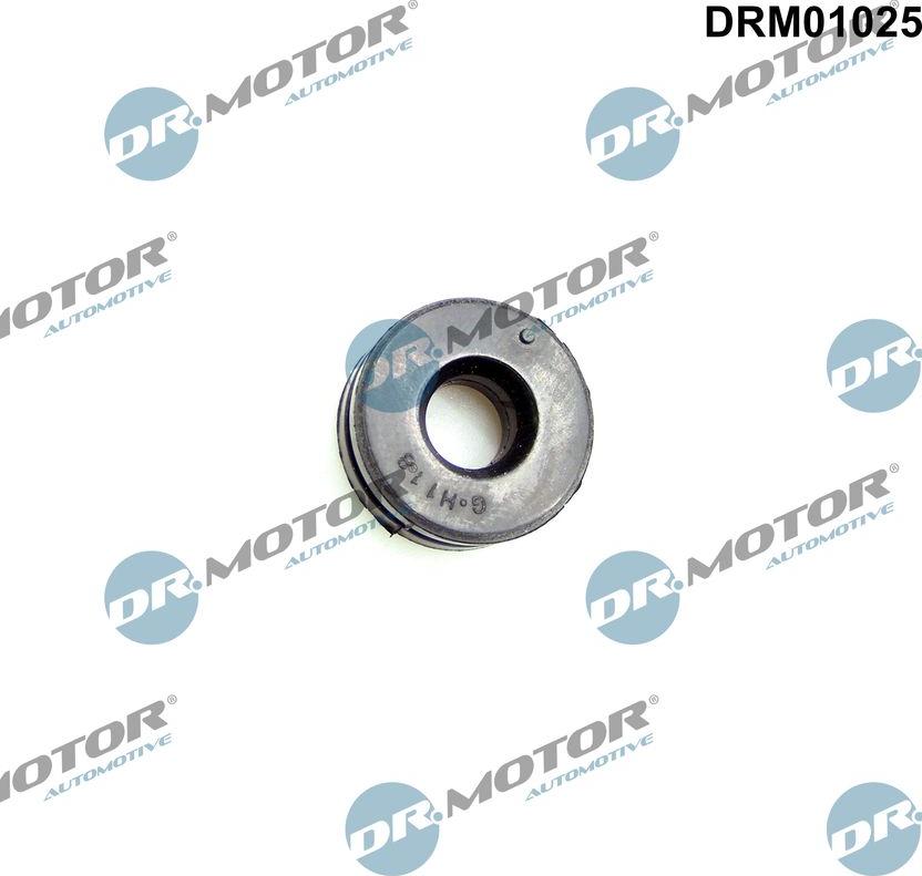 Dr.Motor Automotive DRM01025 - Буфер, кожух двигателя www.avaruosad.ee