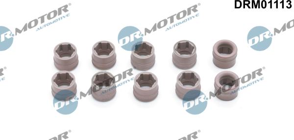 Dr.Motor Automotive DRM01113 - Repair Kit, air conditioning www.avaruosad.ee