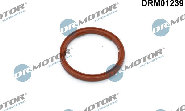 Dr.Motor Automotive DRM01239 - Seal, engine oil level sensor www.avaruosad.ee
