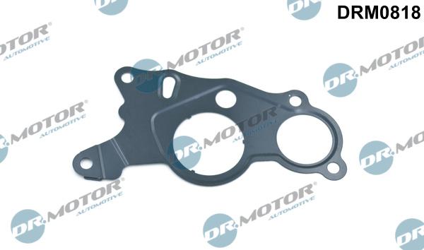 Dr.Motor Automotive DRM0818 - Gasket, vacuum pump www.avaruosad.ee