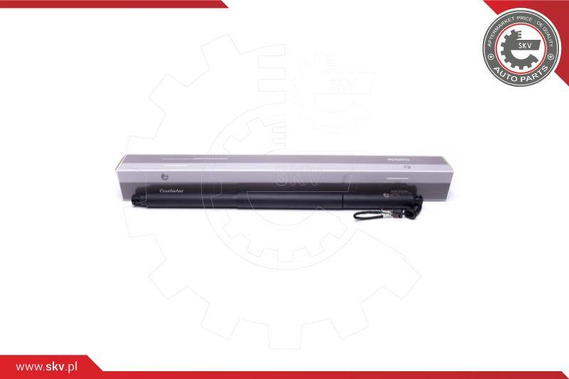 Esen SKV 52SKV943 - Electrical motor, tailgate www.avaruosad.ee