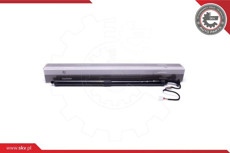 Esen SKV 52SKV915 - Electrical motor, tailgate www.avaruosad.ee