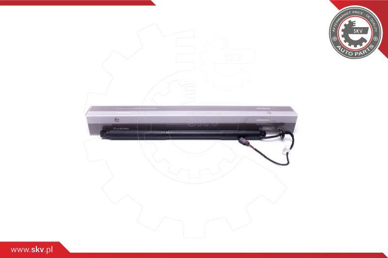 Esen SKV 52SKV939 - Electrical motor, tailgate www.avaruosad.ee