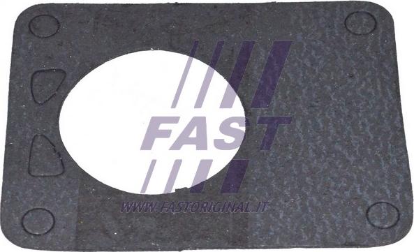 Fast FT49901 - Прокладка, вакуумный насос www.avaruosad.ee