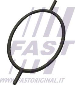 Fast FT49923 - Прокладка, вакуумный насос www.avaruosad.ee