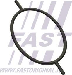Fast FT49923 - Прокладка, вакуумный насос www.avaruosad.ee