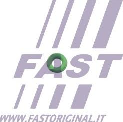 Fast FT49650 - Seal, injector holder www.avaruosad.ee