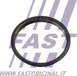 Fast FT49853 - Gasket, vacuum pump www.avaruosad.ee