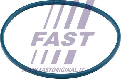 Fast FT48504 - Прокладка, заливной патрубок www.avaruosad.ee