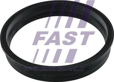 Fast FT48505 - Blīve, Degvielas daudzuma devējs www.avaruosad.ee
