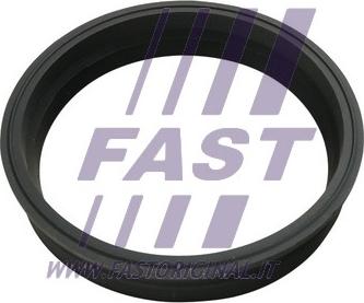 Fast FT48501 - Blīve, Degvielas daudzuma devējs www.avaruosad.ee
