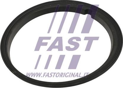 Fast FT48502 - Seal, fuel sender unit www.avaruosad.ee