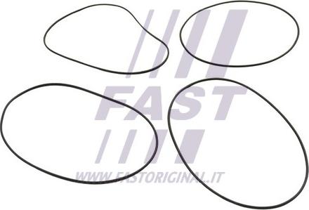 Fast FT50751 - Комплект прокладок, гильза цилиндра www.avaruosad.ee