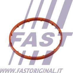 Fast FT50701 - Gasket, vacuum pump www.avaruosad.ee