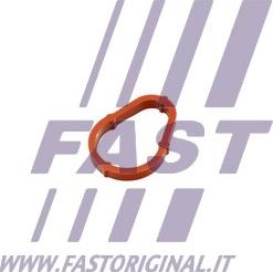 Fast FT50702 - Gasket, vacuum pump www.avaruosad.ee