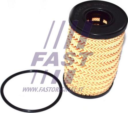 Fast FT38095 - Oil Filter www.avaruosad.ee