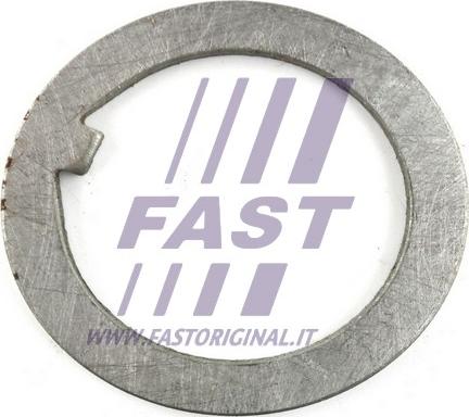 Fast FT26038 - Packing Plate, drive shaft flange www.avaruosad.ee
