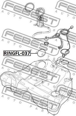 Febest RINGFL-037 - Tihend,kütuseetteandja www.avaruosad.ee