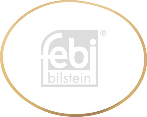 Febi Bilstein 49541 - O-Ring, cylinder sleeve www.avaruosad.ee