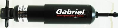Gabriel-MX 53060 - Shock Absorber www.avaruosad.ee