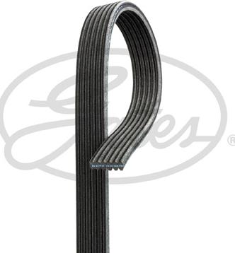 Gates 6DPK1225 - V-Ribbed Belts www.avaruosad.ee