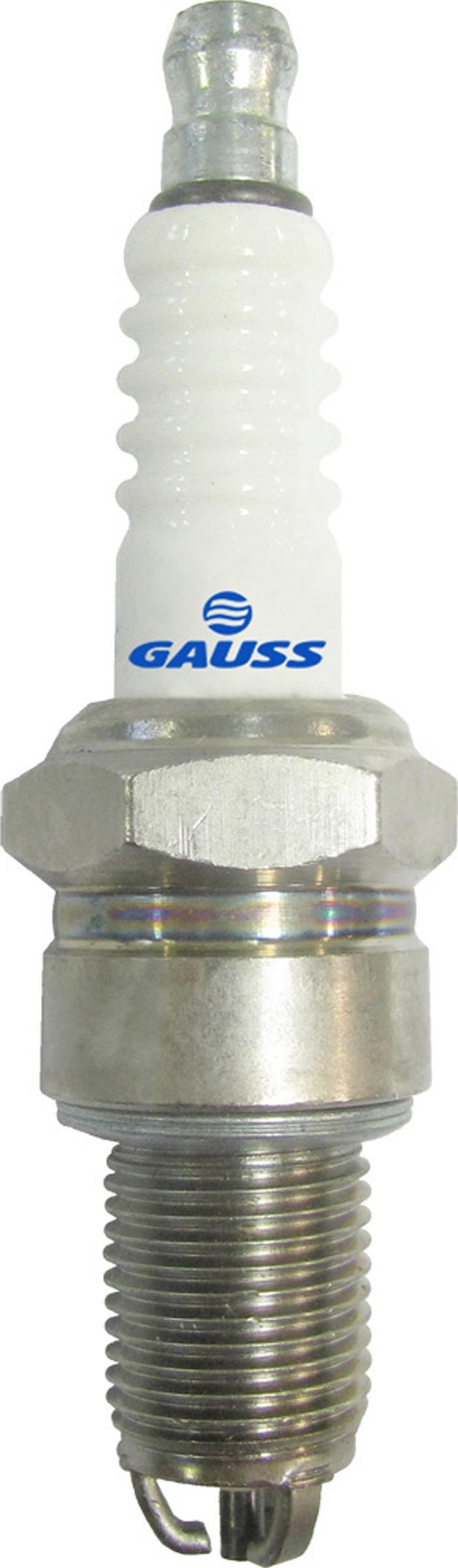 GAUSS GV5R91T-10 - Spark Plug www.avaruosad.ee