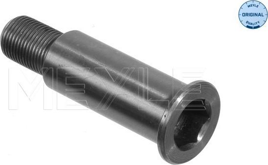 Meyle 014 020 0070 - Bearing Journal, tensioner pulley lever www.avaruosad.ee