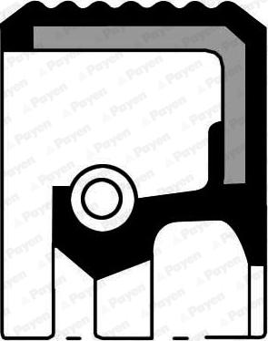 Payen NA5001 - Shaft Seal, crankshaft www.avaruosad.ee