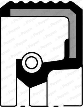 Payen NA5016 - Shaft Seal, crankshaft www.avaruosad.ee