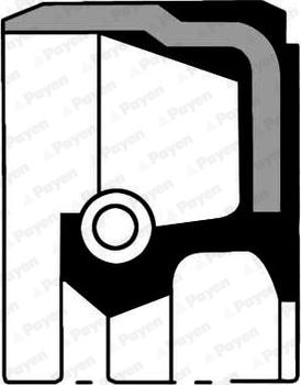 Payen NA5476 - Shaft Seal, differential www.avaruosad.ee