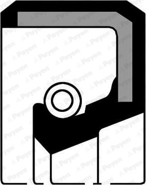 Payen NJ399 - Shaft Seal, manual transmission www.avaruosad.ee