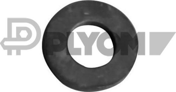 PLYOM P750022 - Уплотнительное кольцо, клапанная форсунка www.avaruosad.ee