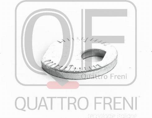 Quattro Freni QF00X00012 - Bolt, wheel alignment www.avaruosad.ee
