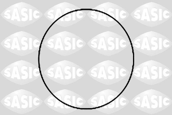 Sasic 1950007 - O-Ring Set, cylinder sleeve www.avaruosad.ee