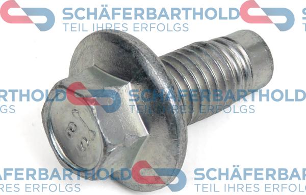 Schferbarthold 924 06 725 01 11 - Sealing Plug, oil sump www.avaruosad.ee