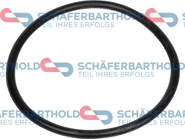 Schferbarthold 313 18 103 01 11 - Уплотняющее кольцо, сетчатый масляный фильтр www.avaruosad.ee