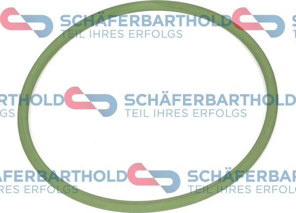 Schferbarthold 313 38 100 01 11 - Прокладка, топливный насос www.avaruosad.ee