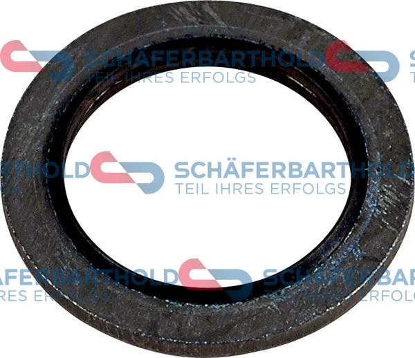 Schferbarthold 313 28 062 01 11 - Seal, oil drain plug www.avaruosad.ee